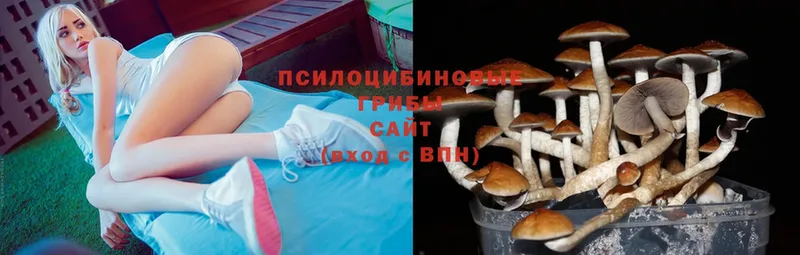 кракен ссылки  купить закладку  Иннополис  Галлюциногенные грибы Magic Shrooms 